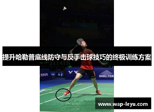 提升哈勒普底线防守与反手击球技巧的终极训练方案