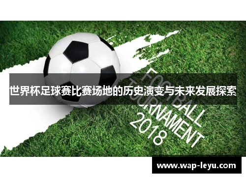 世界杯足球赛比赛场地的历史演变与未来发展探索