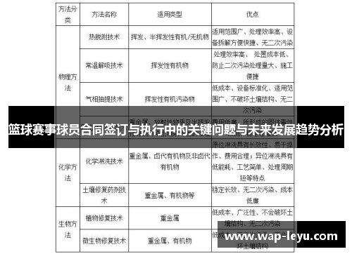 篮球赛事球员合同签订与执行中的关键问题与未来发展趋势分析