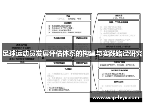 足球运动员发展评估体系的构建与实践路径研究