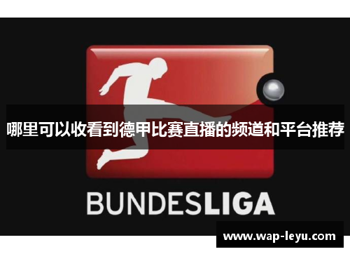 哪里可以收看到德甲比赛直播的频道和平台推荐