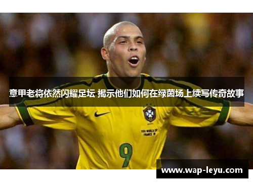 意甲老将依然闪耀足坛 揭示他们如何在绿茵场上续写传奇故事 意甲老将依然闪耀足坛 揭示他们如何在绿茵场上续写传奇故事