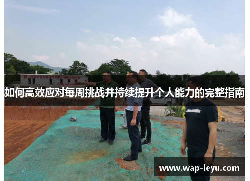 如何高效应对每周挑战并持续提升个人能力的完整指南