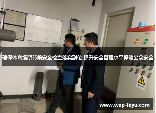 确保体育场所节前安全检查落实到位 提升安全管理水平保障公众安全 确保体育场所节前安全检查落实到位 提升安全管理水平保障公众安全