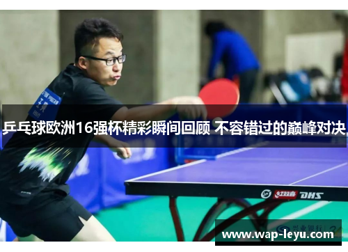 乒乓球欧洲16强杯精彩瞬间回顾 不容错过的巅峰对决 乒乓球欧洲16强杯精彩瞬间回顾 不容错过的巅峰对决