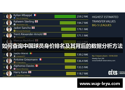 如何查询中国球员身价排名及其背后的数据分析方法