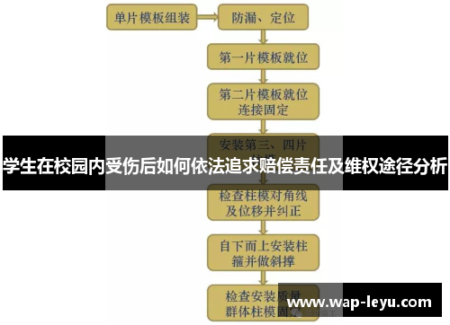 学生在校园内受伤后如何依法追求赔偿责任及维权途径分析