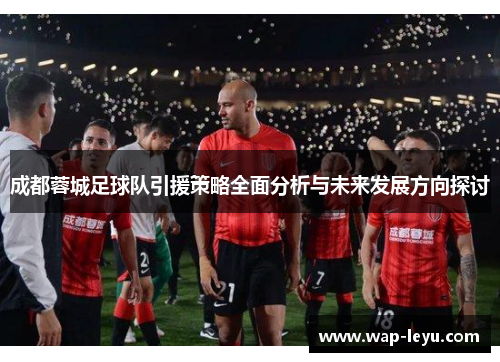 成都蓉城足球队引援策略全面分析与未来发展方向探讨