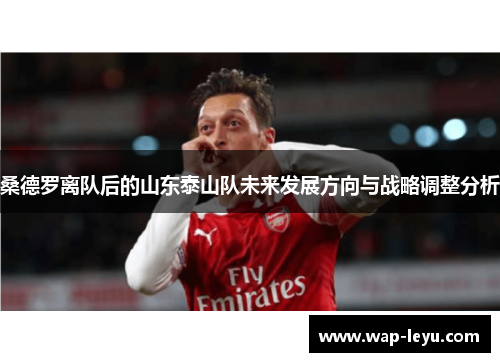 桑德罗离队后的山东泰山队未来发展方向与战略调整分析 桑德罗离队后的山东泰山队未来发展方向与战略调整分析