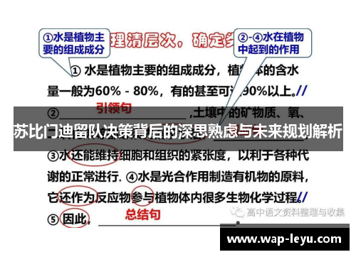 苏比门迪留队决策背后的深思熟虑与未来规划解析