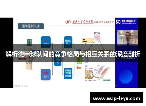 解析德甲球队间的竞争格局与相互关系的深度剖析