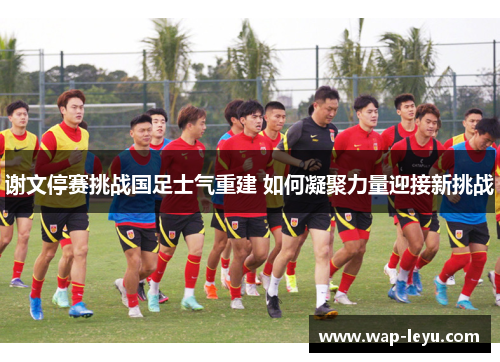 谢文停赛挑战国足士气重建 如何凝聚力量迎接新挑战