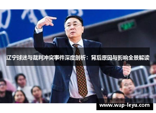 辽宁球迷与裁判冲突事件深度剖析：背后原因与影响全景解读