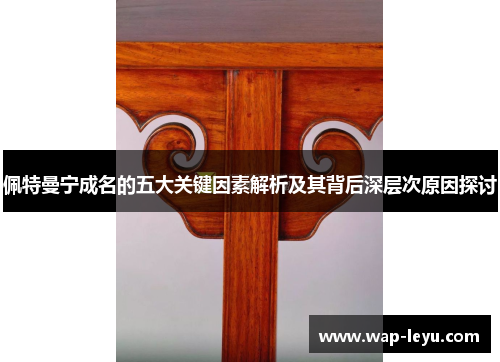 佩特曼宁成名的五大关键因素解析及其背后深层次原因探讨