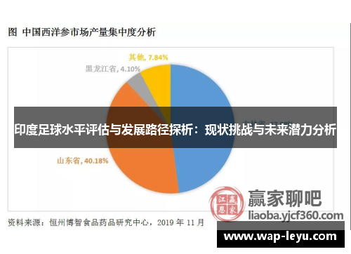 印度足球水平评估与发展路径探析：现状挑战与未来潜力分析