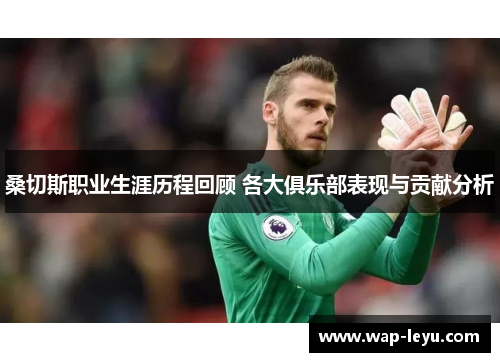 桑切斯职业生涯历程回顾 各大俱乐部表现与贡献分析 桑切斯职业生涯历程回顾 各大俱乐部表现与贡献分析