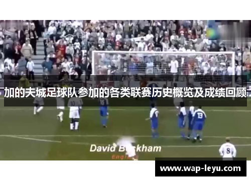 加的夫城足球队参加的各类联赛历史概览及成绩回顾