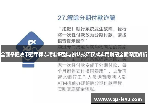 全面掌握法甲冠军标志精准识别与辨认技巧权威实用指南全面深度解析